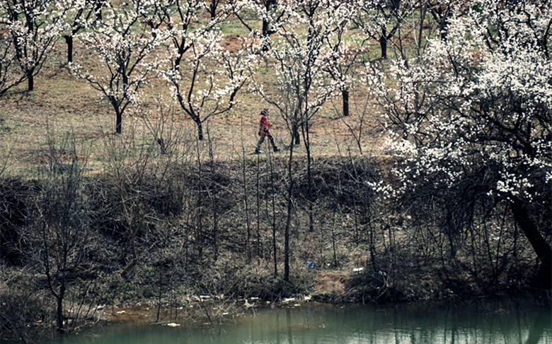 DSC00297_副本.jpg