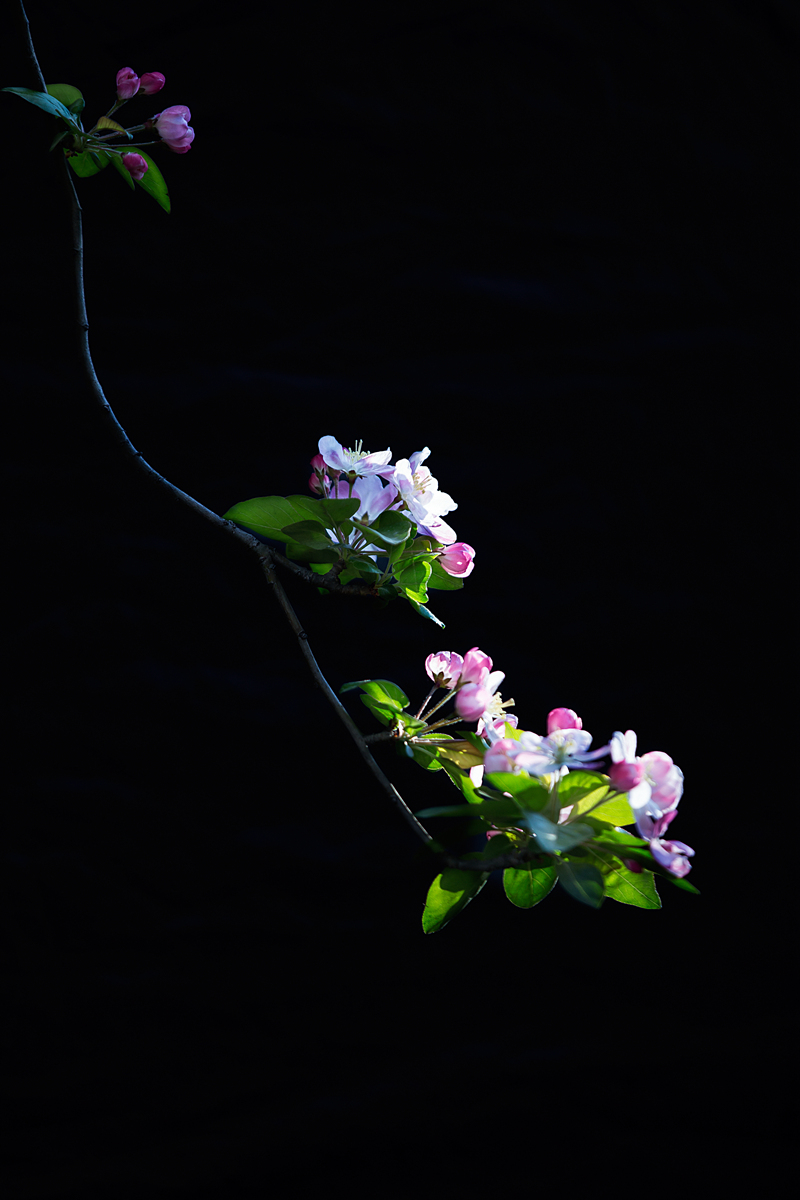 IMG_1256-1_副本_副本.jpg