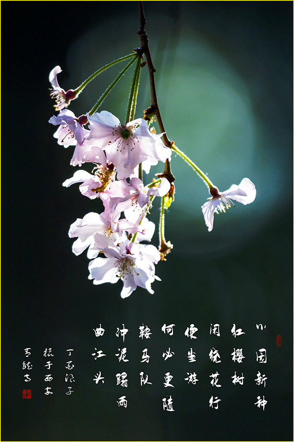 LIU_0595副本2.jpg