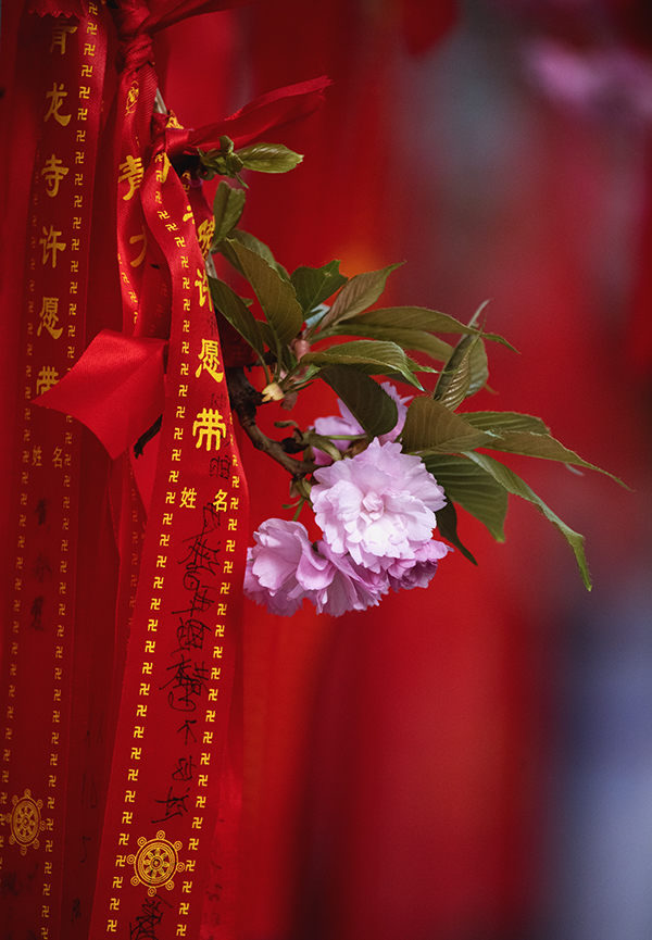 LIU_0630副本2.jpg