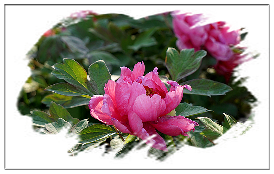 DSC00802_副本.jpg