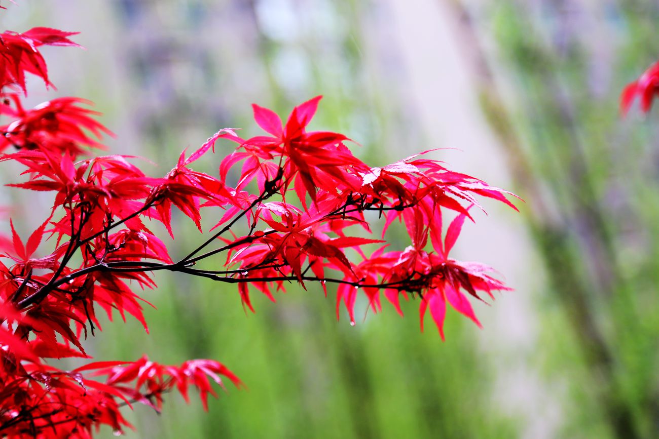 IMG_3953_副本.jpg
