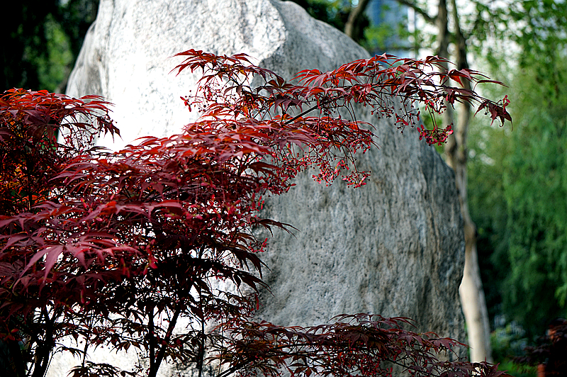 DSC00904_副本.jpg