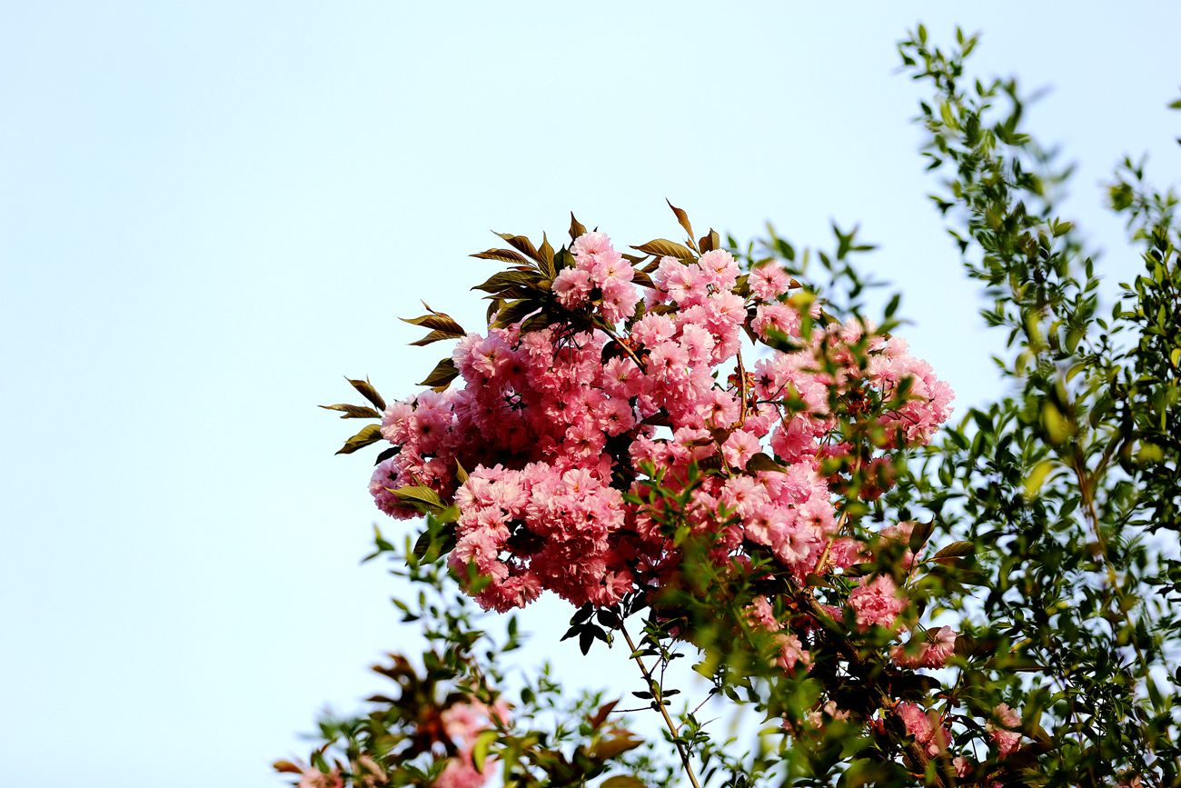 IMG_4935_副本.jpg