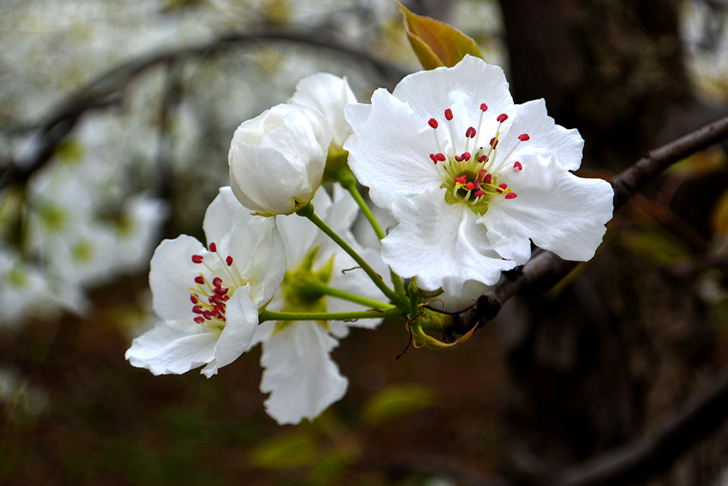 DSC_6557副本.jpg