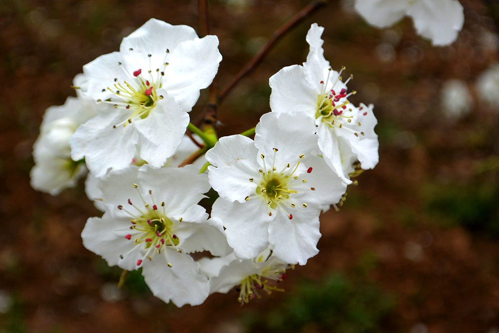 DSC_6561副本.jpg