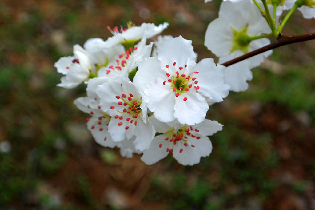 DSC_6574副本.jpg