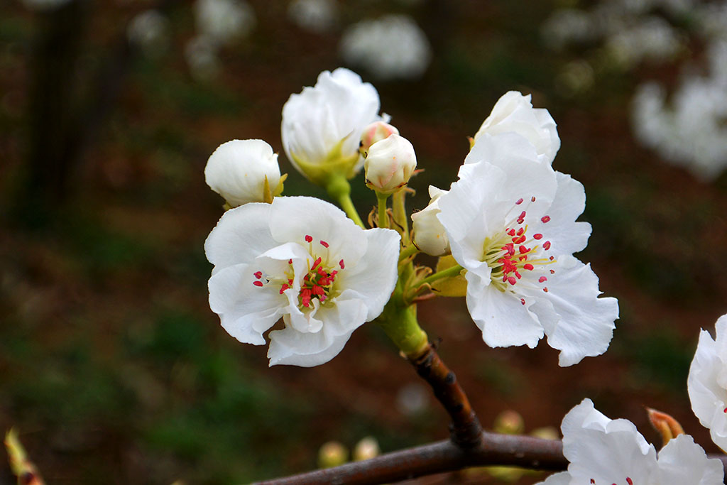 DSC_6584副本.jpg
