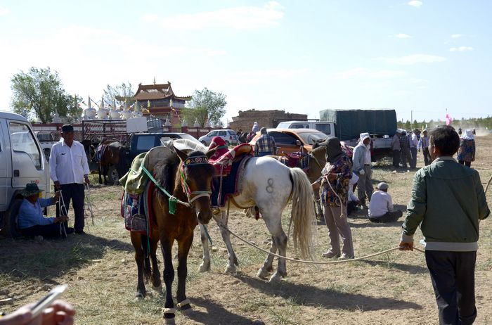 一方水土养一方人，内蒙古特有的地域风情，造就了豪放、宽容、独立的名族特色