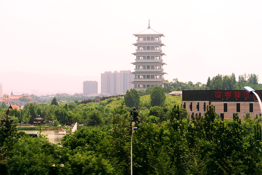 DSC_0803.jpg