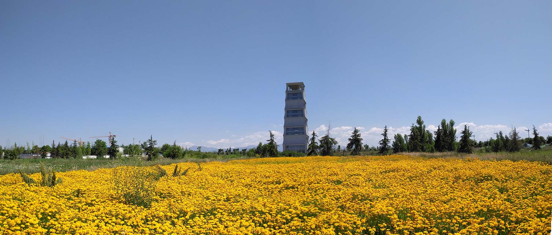 未标题_全景副本.jpg