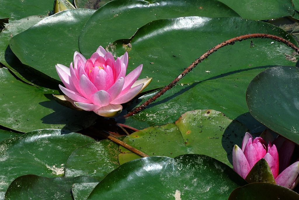DSC_0805副本.jpg