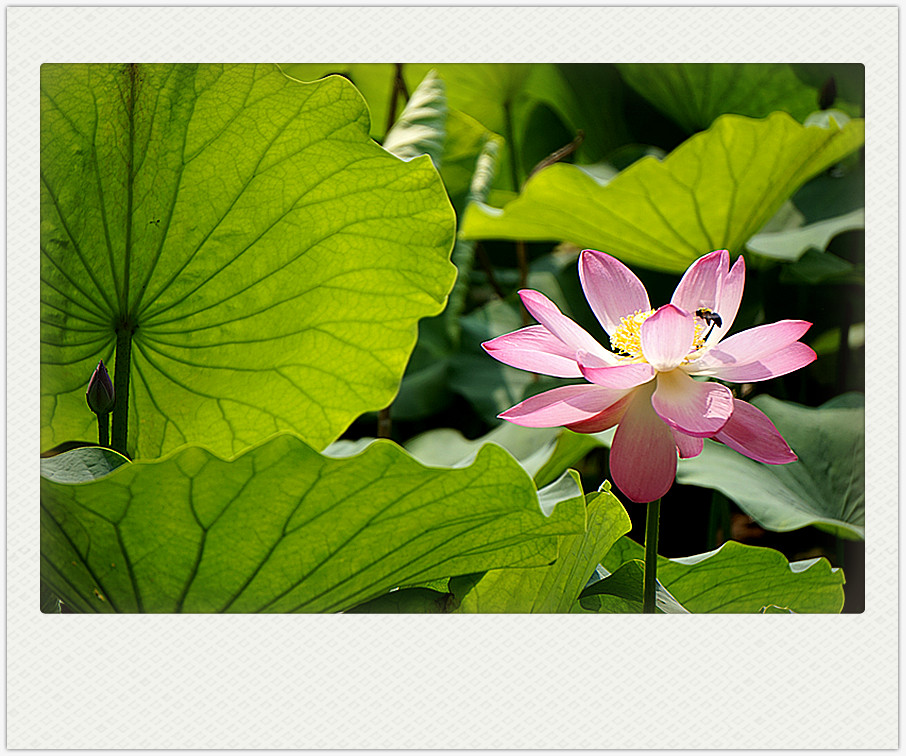 dsc01762_副本.jpg
