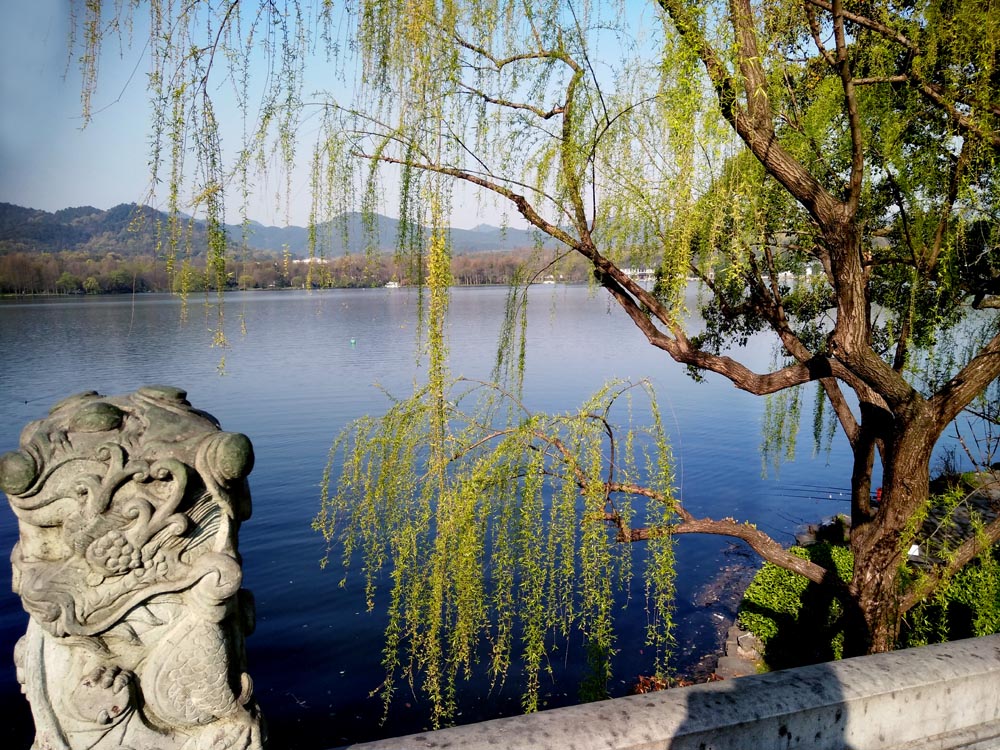 苏堤 (7).jpg