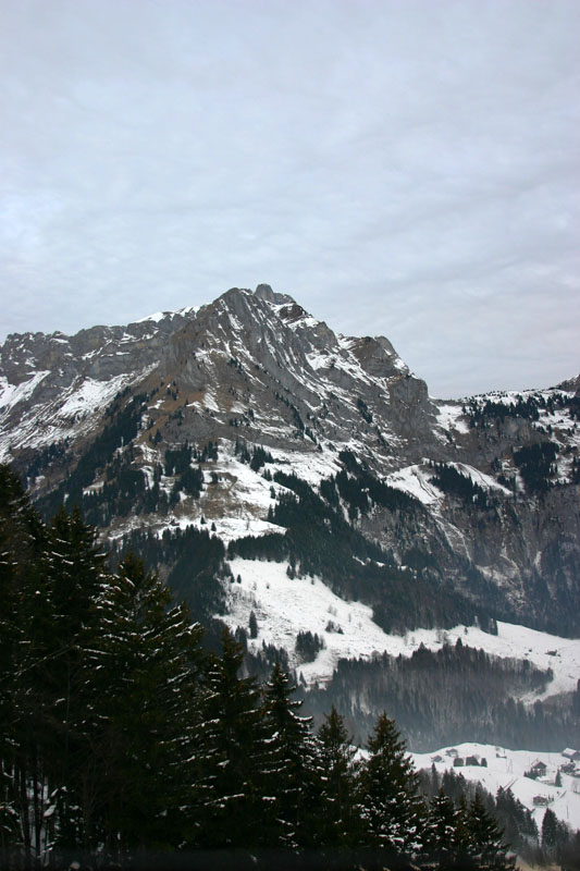 JPEG Digital Camera_5469.jpg