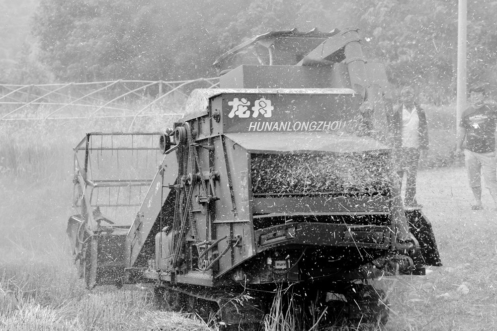 D4A_4542.jpg