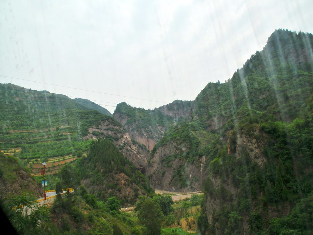 DSC_0116_conew1.jpg