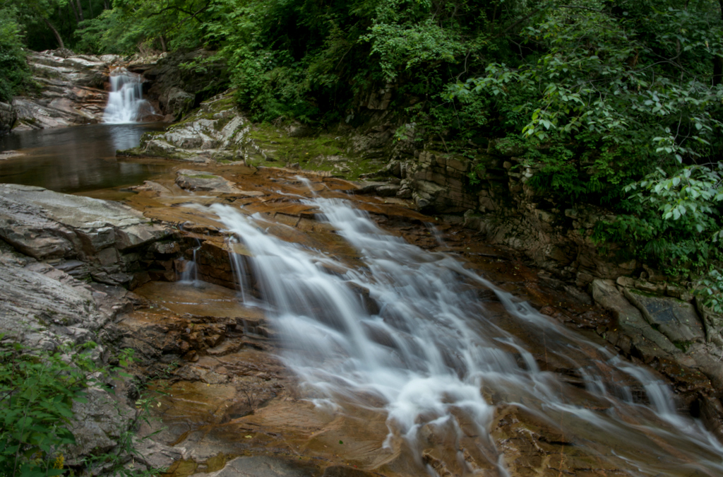 DSC_0720.jpg