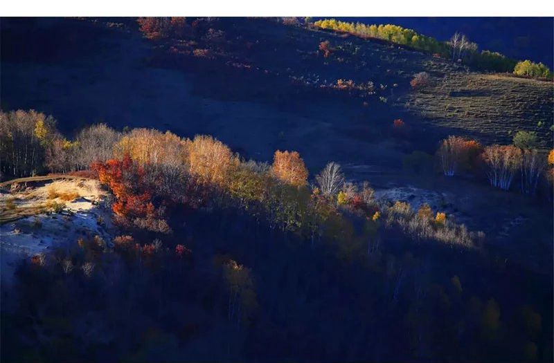 《坝上色彩》 徐锦贤摄.jpg