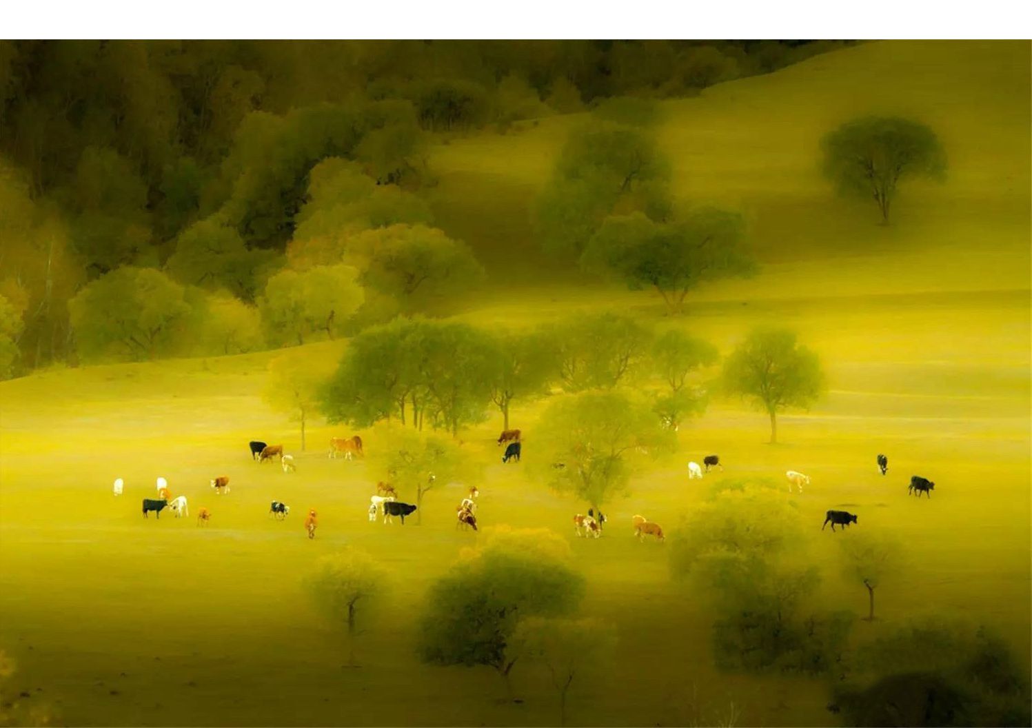 《蛤蟆坝》  杨军摄.jpg