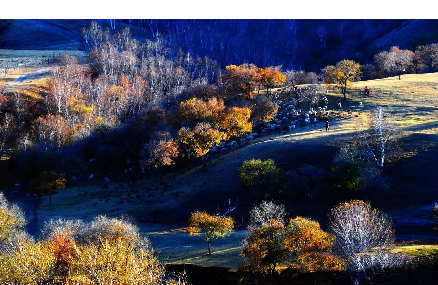 《蛤蟆坝》 陈庆严摄.jpg