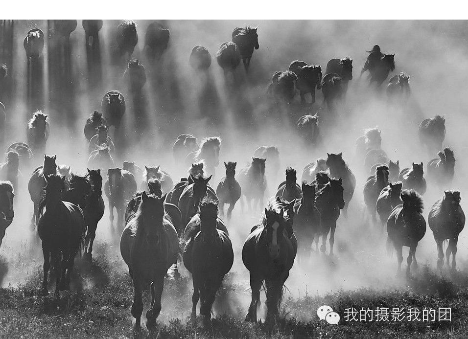 《万马奔腾》我的摄影我的团团长  小尤摄.jpg