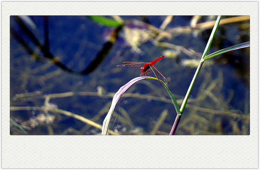 dsc02576_副本.jpg