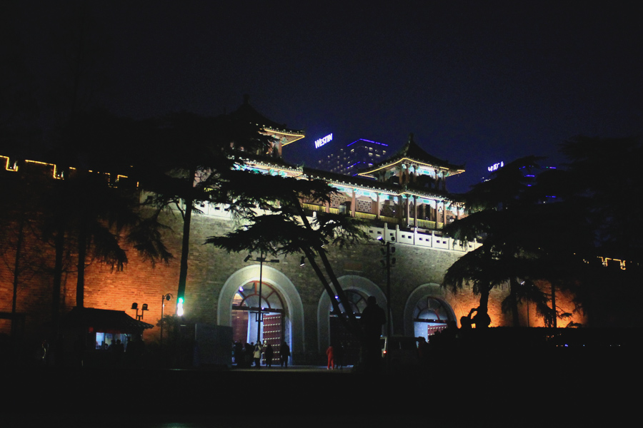 MG_8784.jpg