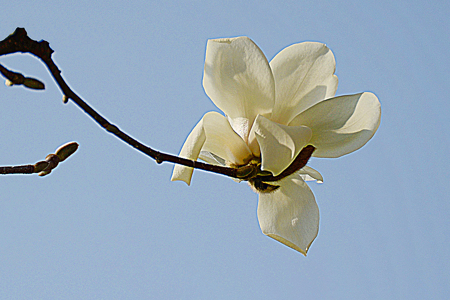nEO_IMG_DSC_7871.jpg