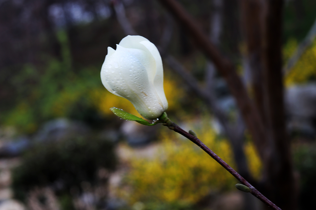 IMG_3588副本.jpg