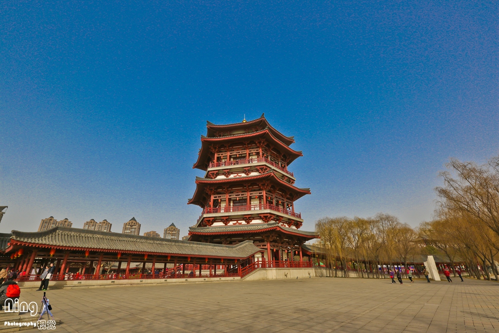WCY_9310.jpg