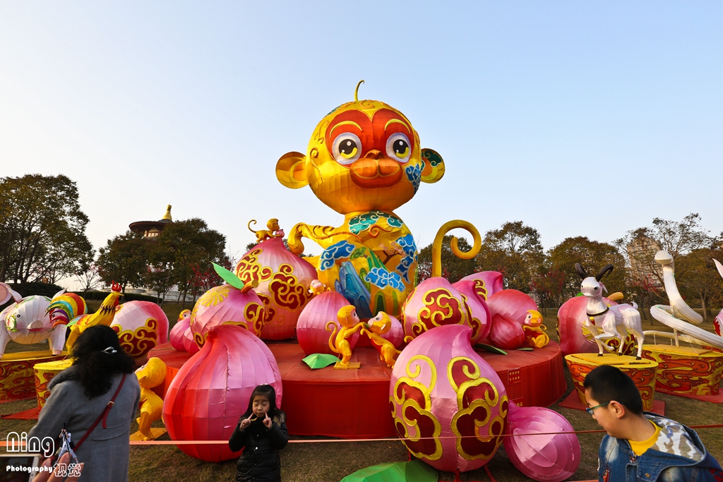 WCY_9360.jpg