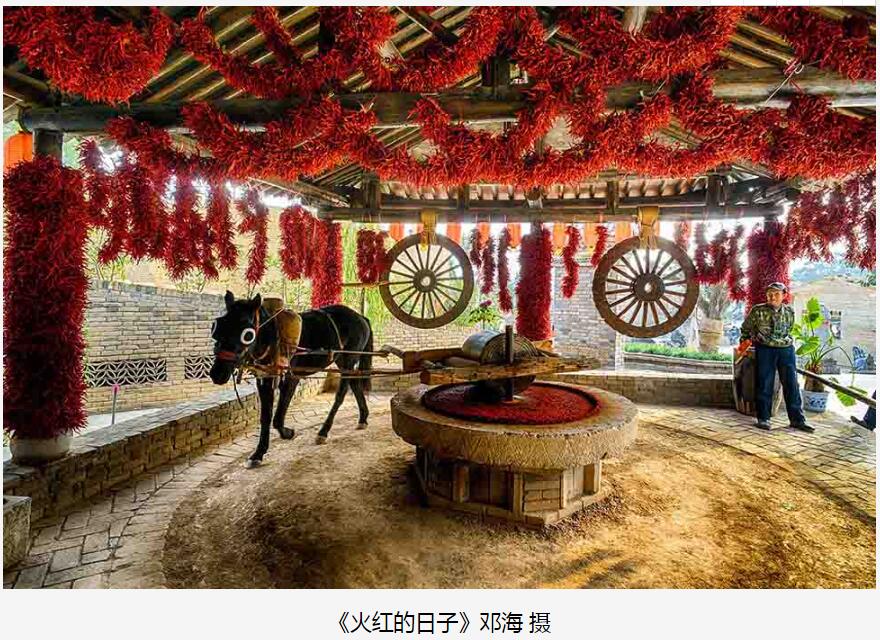 QQ截图20180512140542.jpg