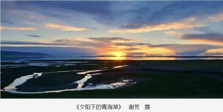 QQ截图20180703154212.jpg