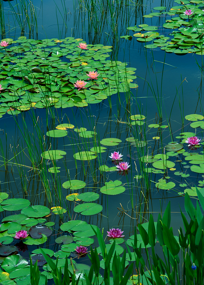 DSC_6614.jpg