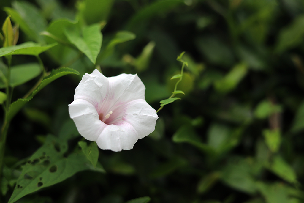 IMG_5740副本.jpg
