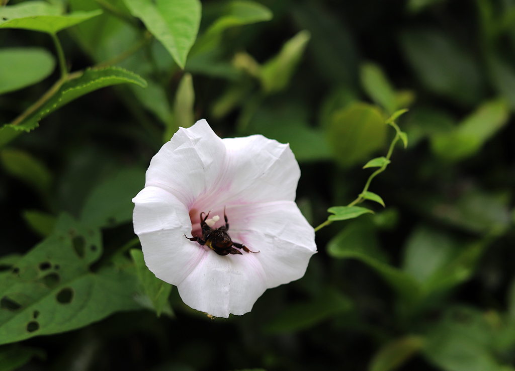 IMG_5743副本.jpg