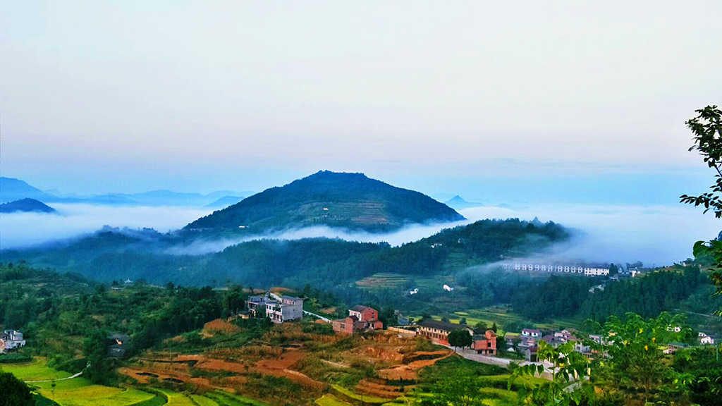 DSC_2354副本.jpg