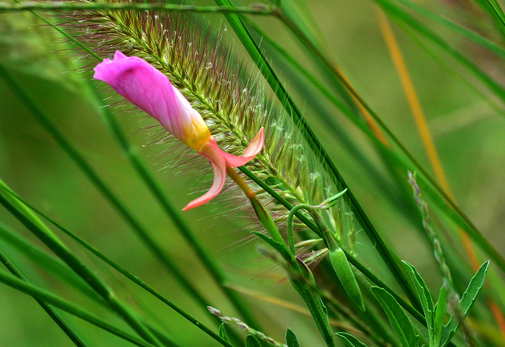 DSC_0251副本.jpg