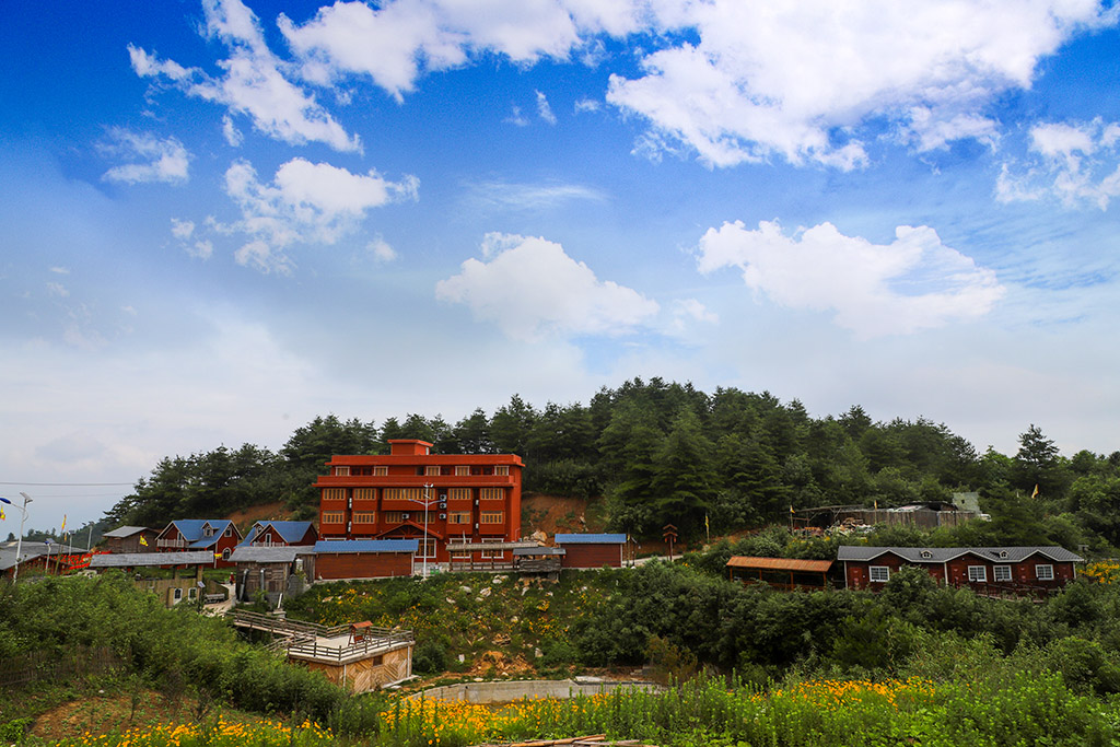 IMG_8155_ts副本.jpg