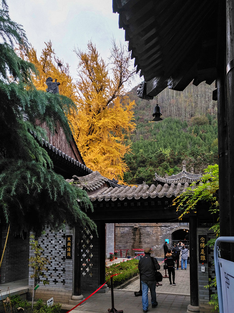IMG_20181115_101844副本.jpg