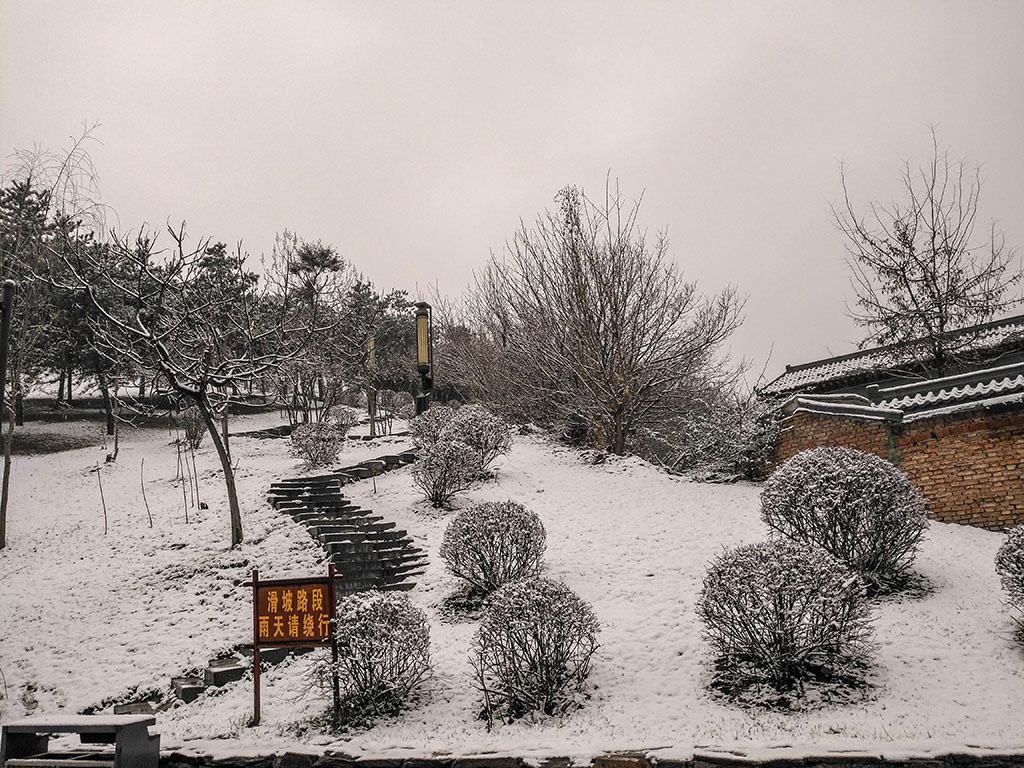 IMG_20190218_095042副本.jpg