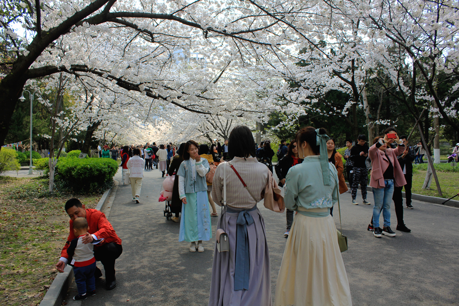 IMG3463.jpg