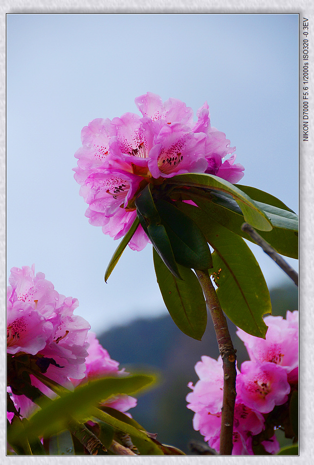 nEO_IMG_DSC_7765.jpg