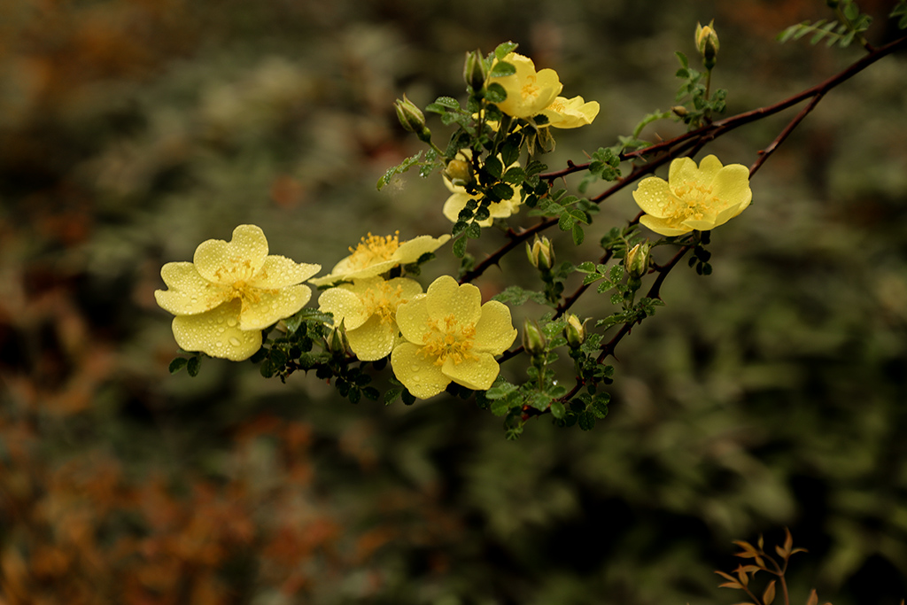 IMG_8153副本.jpg