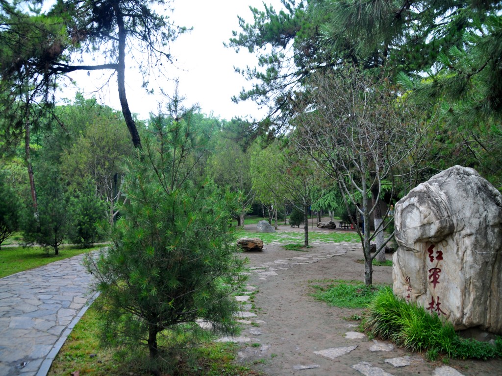 DSC_0005_conew1.jpg