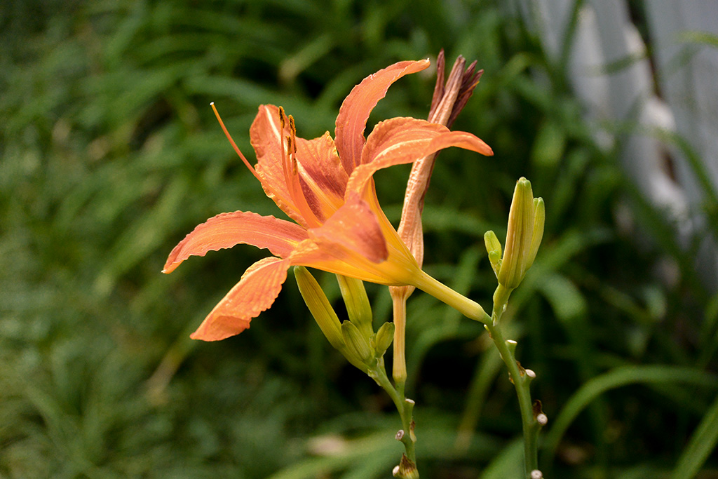 DSC_1361副本.jpg