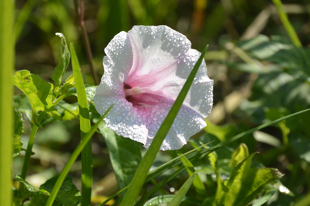 DSC_1308副本.jpg