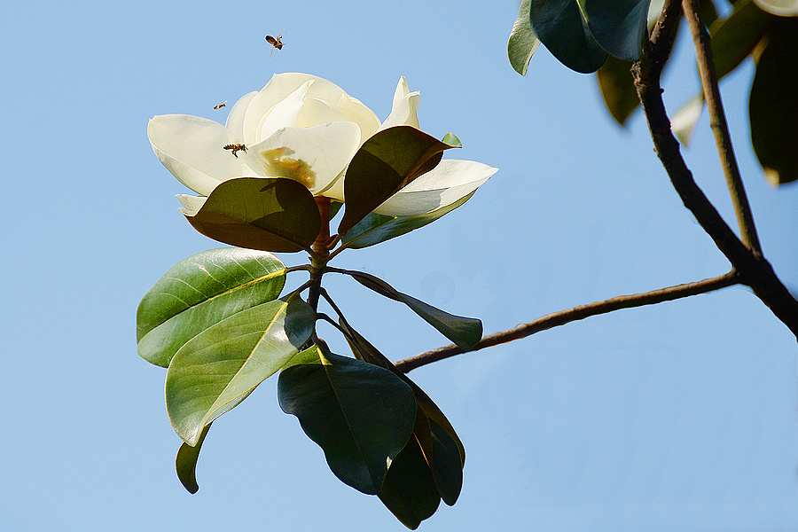 nEO_IMG_DSC_1256.jpg
