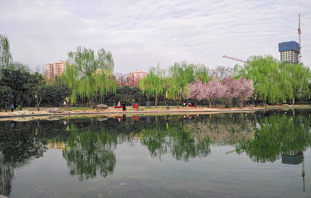 IMG_20200312_162841副本.jpg